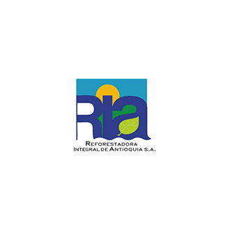 proyecto17